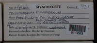 Image Associated With the Occurence